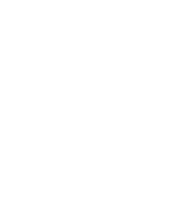 Sina Rabi cropped logo